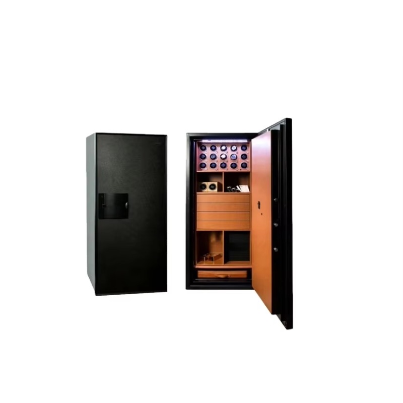 Fireproof and Anti-theft Home  - Luxury Watch Storage recension och pris